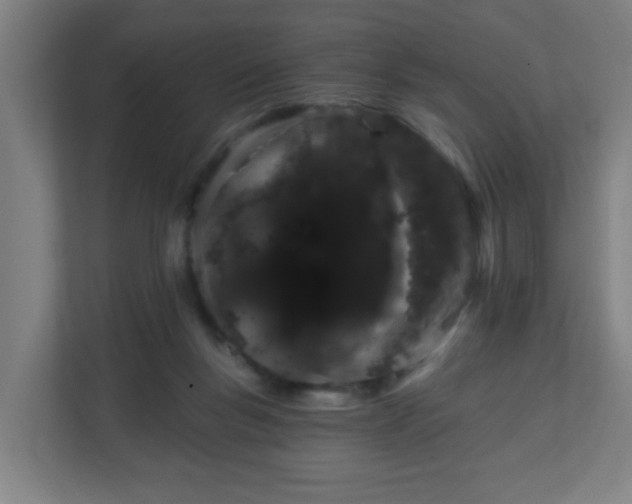 X0000111130167200907071025