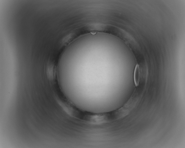 X0000111130168200907071025