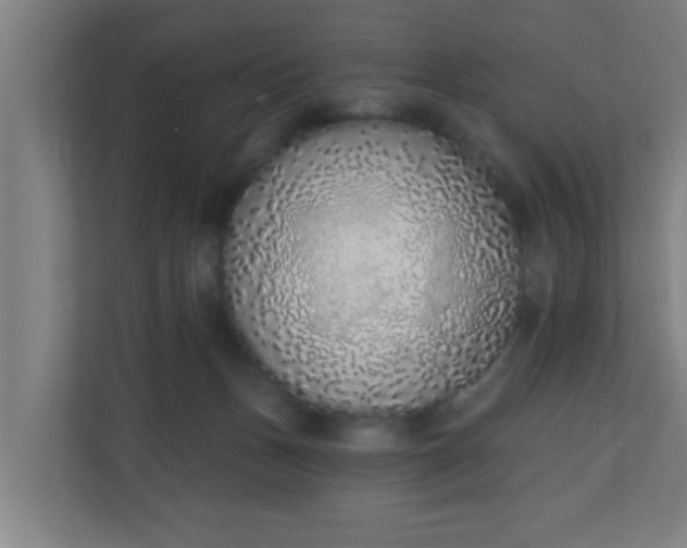 X0000111130175200907071025