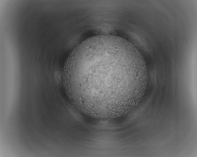 X0000111130177200907071025