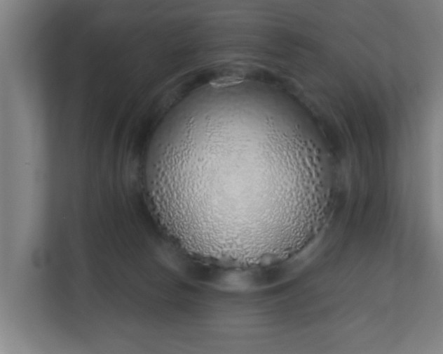 X0000111130178200907071025