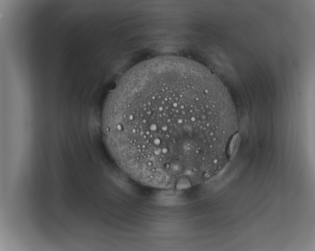 X0000111130179200907071025
