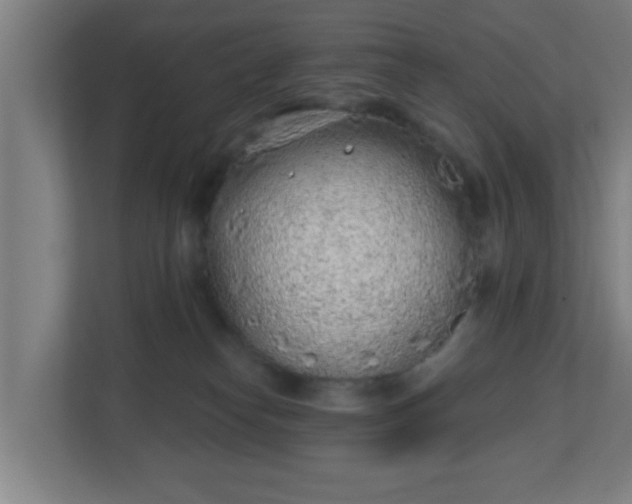X0000111130182200907071025