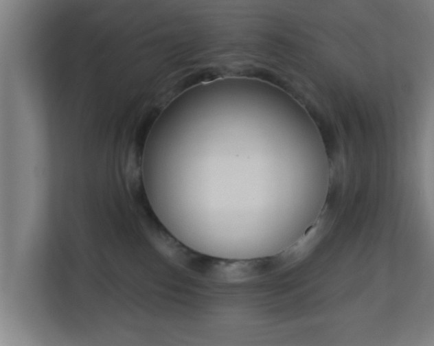 X0000111130186200907071025