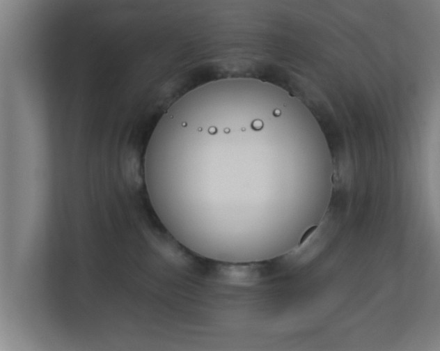 X0000111130187200907071025