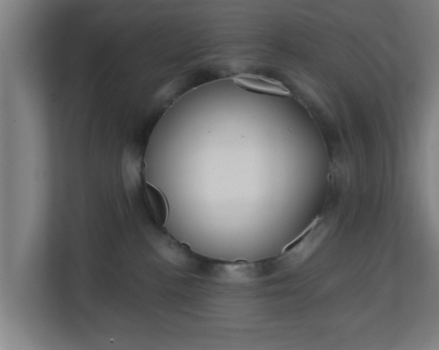 X0000111130188200907071025