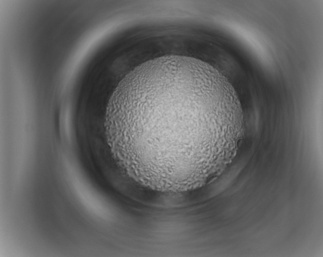 X0000111130189200907071025