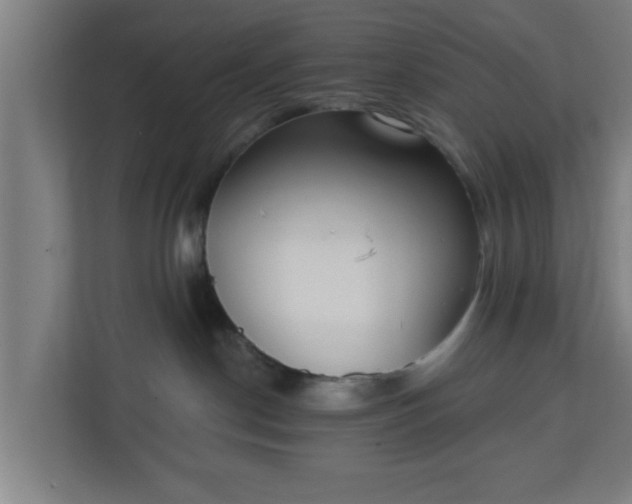 X0000111130190200907071025
