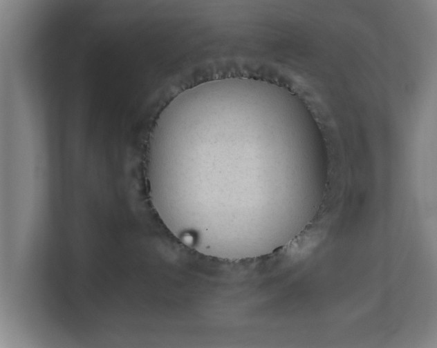 X0000111130192200907071025