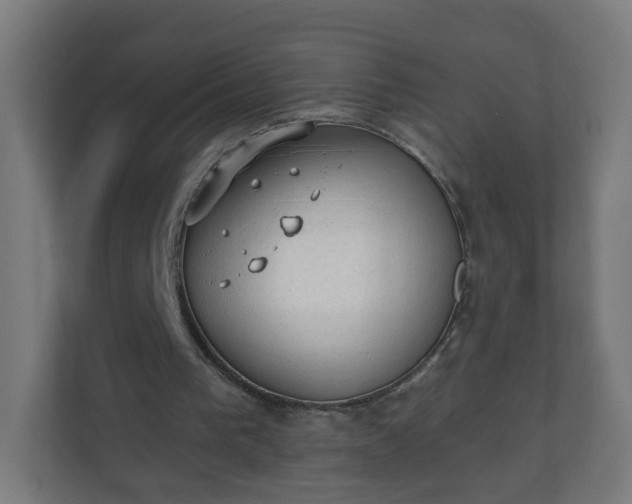 X0000111130193200907071024