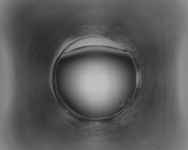 X0000111130195200907071024