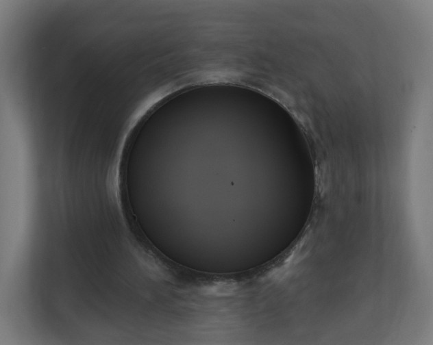X0000111130196200907071024