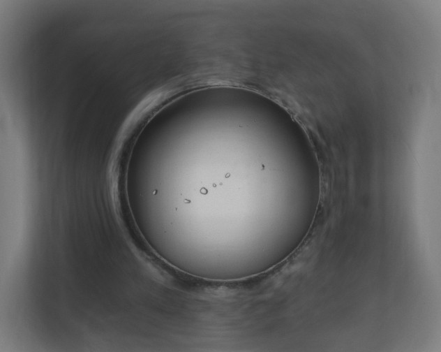 X0000111130197200907071024