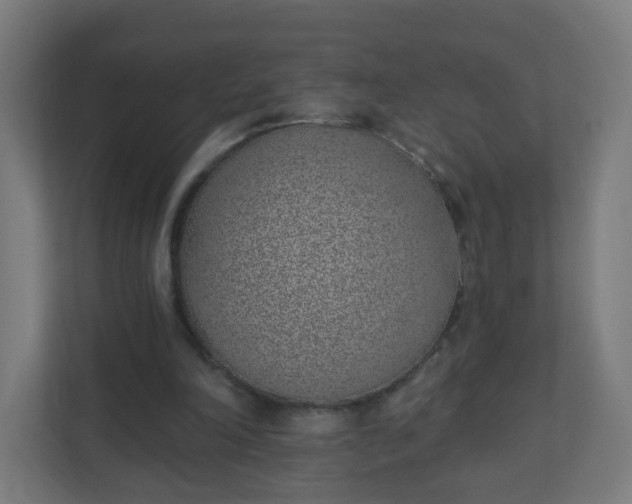 X0000111130198200907071024