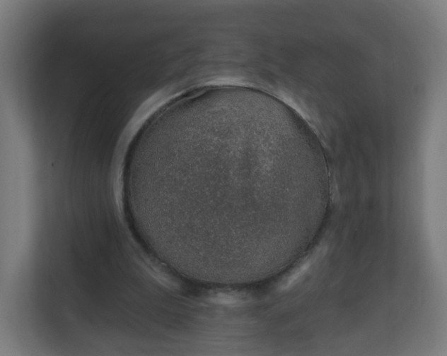 X0000111130199200907071024