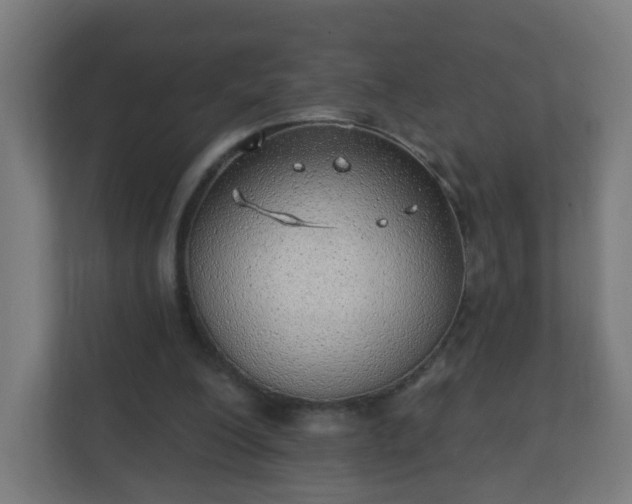 X0000111130200200907071024