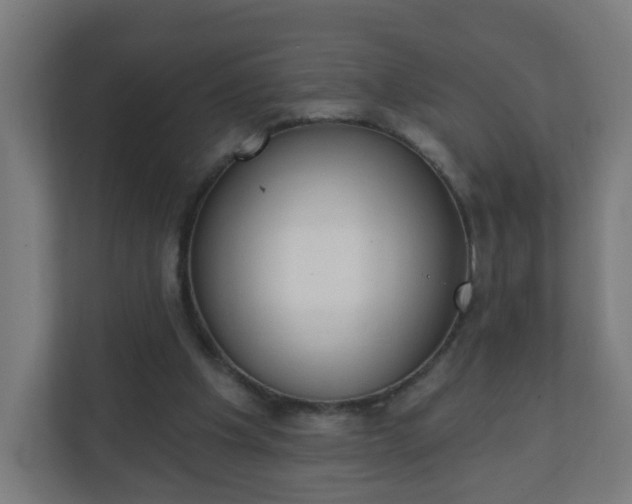 X0000111130201200907071024