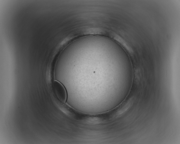 X0000111130203200907071024