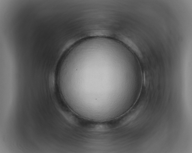 X0000111130204200907071024