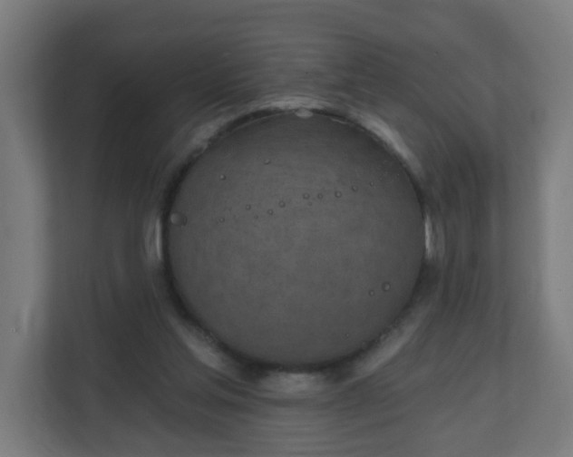 X0000111130205200907071024