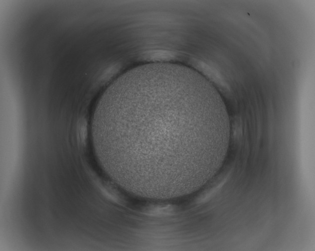 X0000111130206200907071024