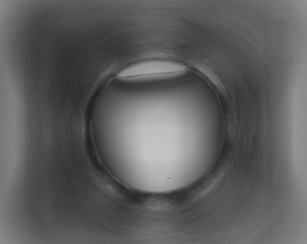 X0000111130207200907071024
