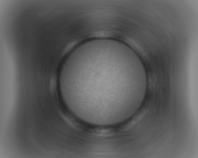 X0000111130208200907071024