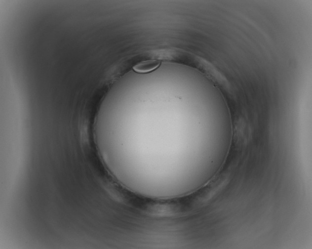X0000111130209200907071024