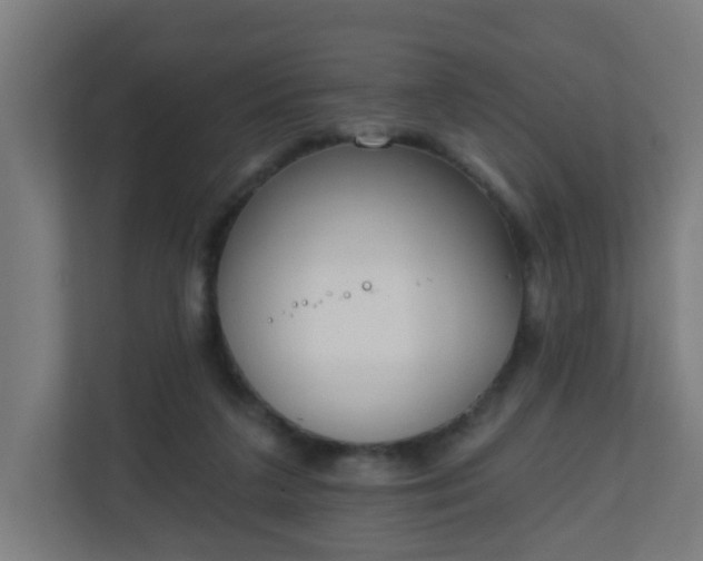 X0000111130211200907071024