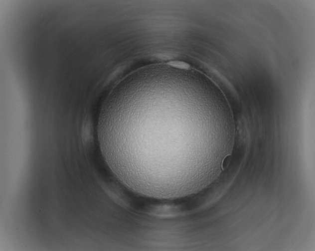 X0000111130212200907071024