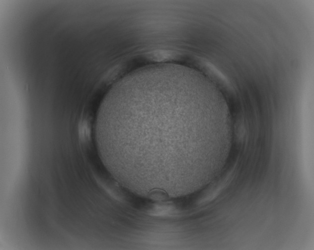 X0000111130214200907071024