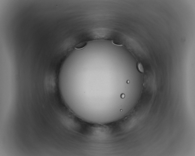 X0000111130215200907071024