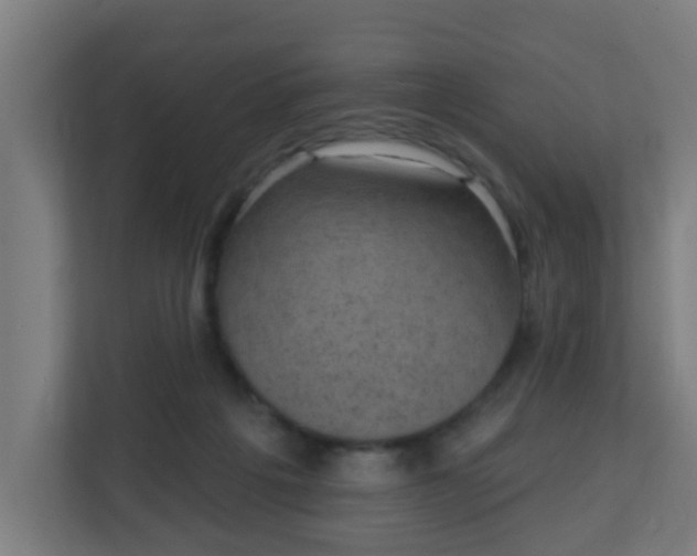 X0000111130217200907071024