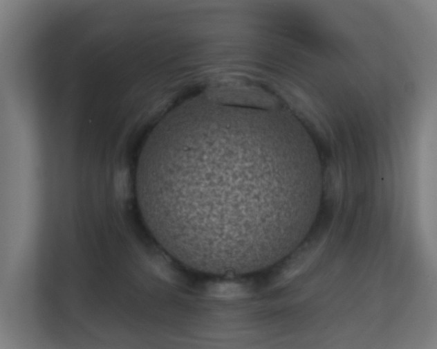 X0000111130224200907071024