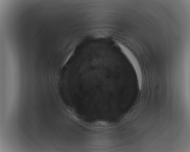 X0000111130227200907071024