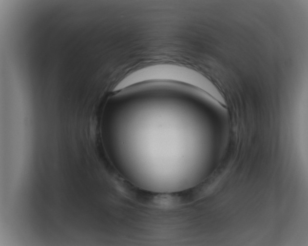 X0000111130231200907071024