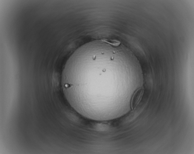 X0000111130232200907071024