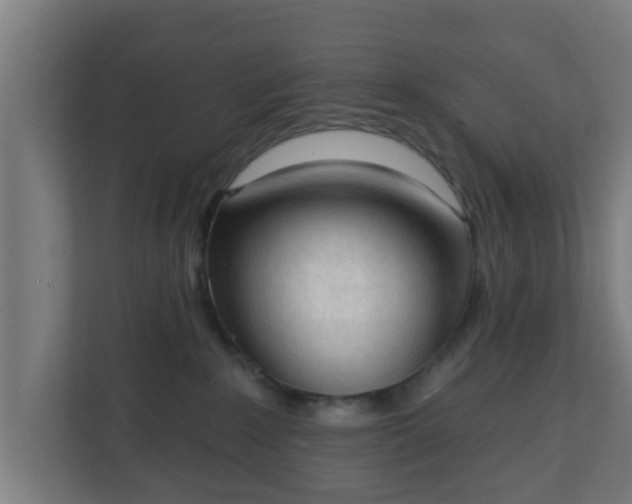 X0000111130235200907071024