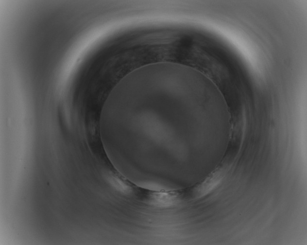 X0000111130239200907071024