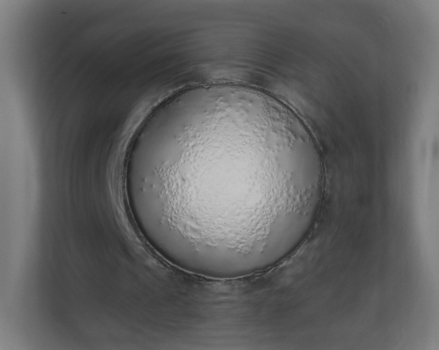 X0000111130241200907071023