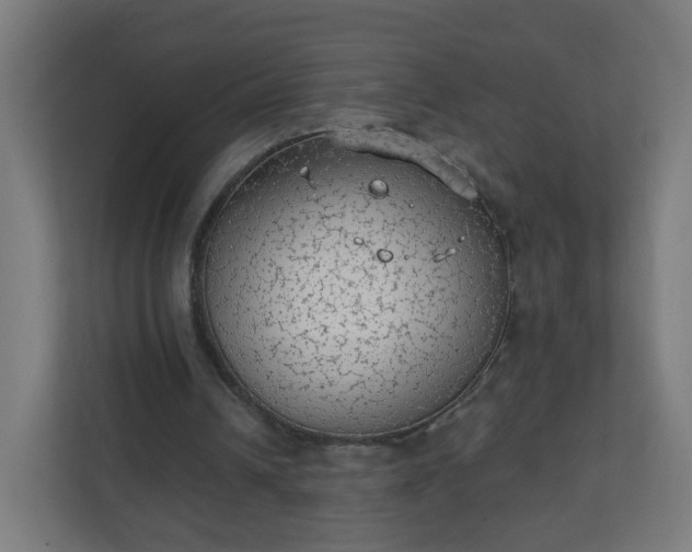 X0000111130242200907071023
