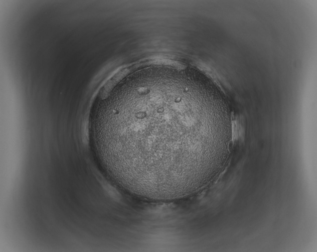 X0000111130243200907071023