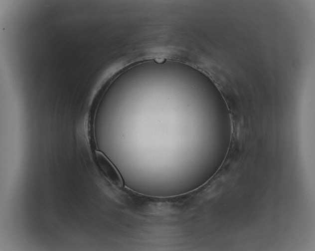 X0000111130244200907071023