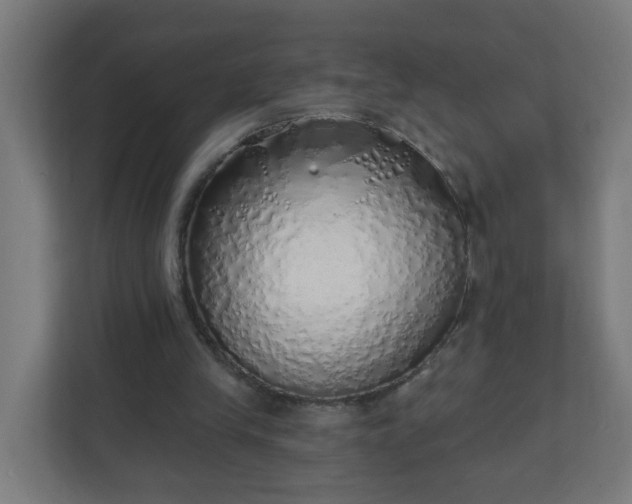 X0000111130245200907071023