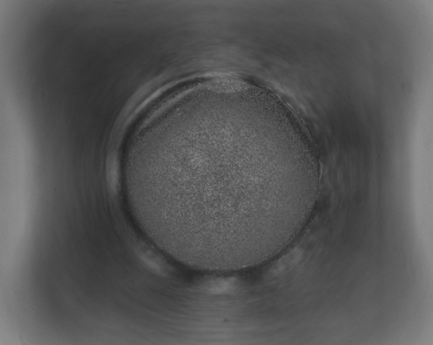 X0000111130247200907071023