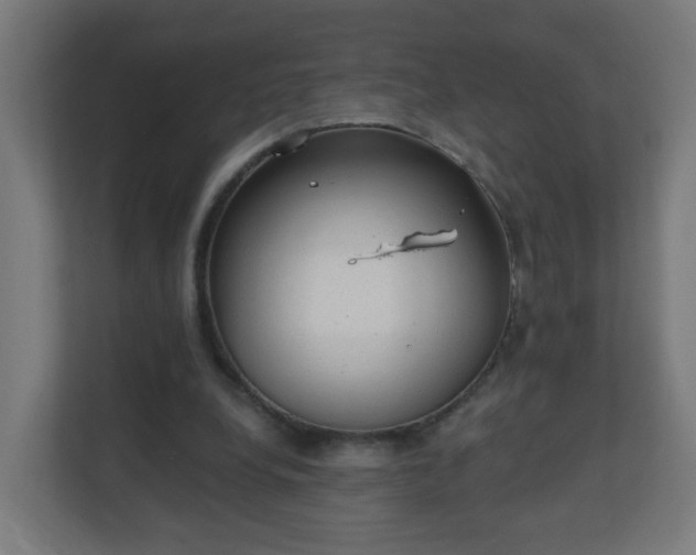 X0000111130248200907071023