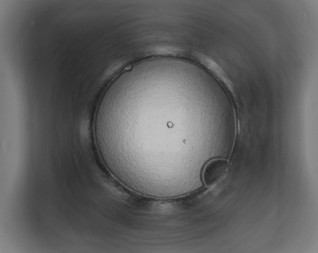 X0000111130249200907071023