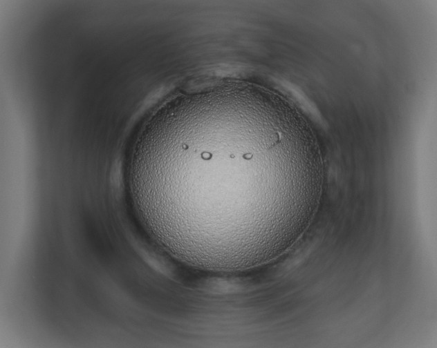 X0000111130250200907071023