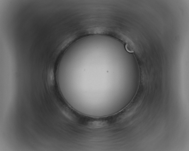 X0000111130251200907071023