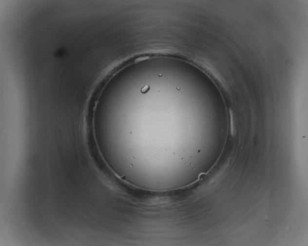 X0000111130252200907071023